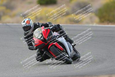 media/Nov-04-2023-2WTD (Sat) [[147bbb9217]]/B Group/1220pm (Outside Turn 2)/
